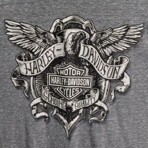 Harley-Davidson Gray Short Sleeve Eagle Graphic Tee Men’s Large